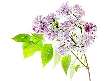 2021年IGN年度游戏提名公布：《双人成行》入选